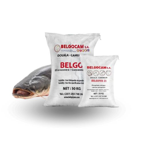 BELGO FISH CLARIAS 6mm 15kg