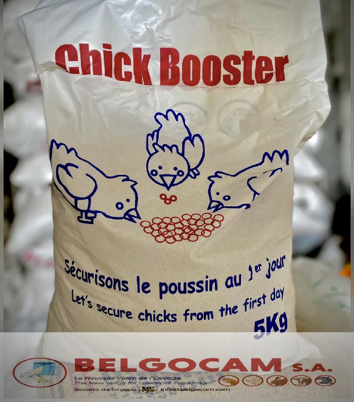 BELGO CHICK BOOSTER 5kg