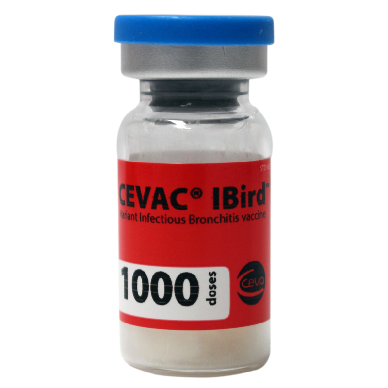 CEVAC ibird 1000